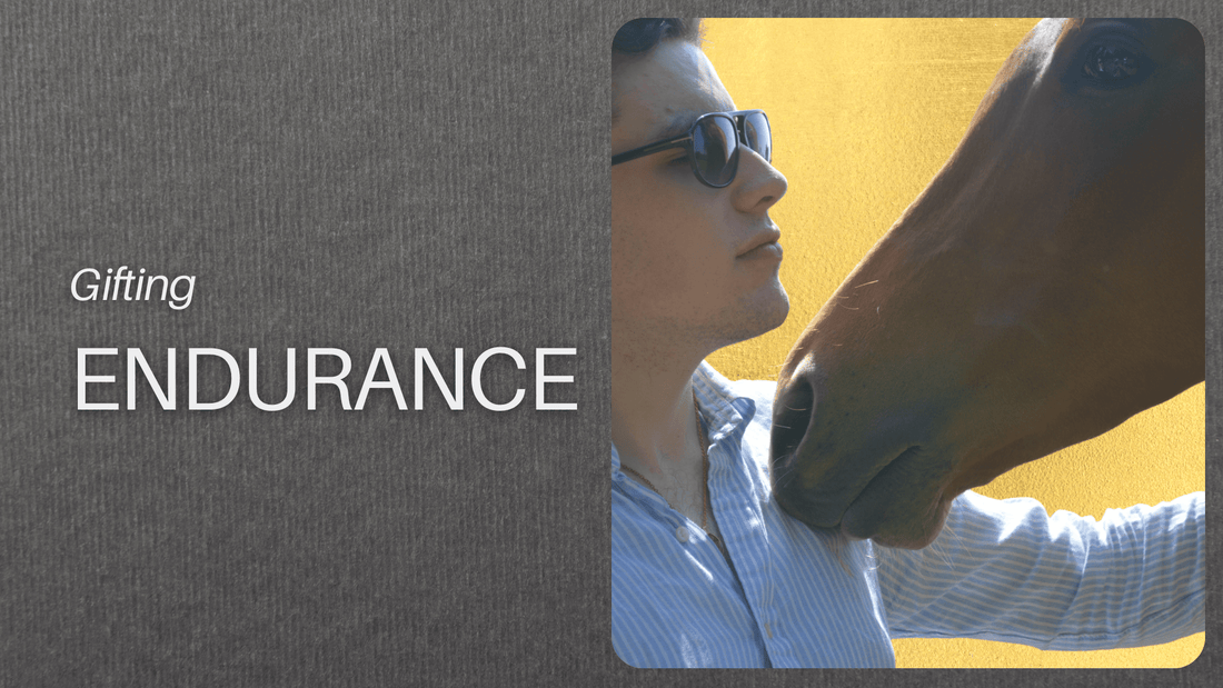 Gifting Endurance with The Stallion - Gallaghers Gifts