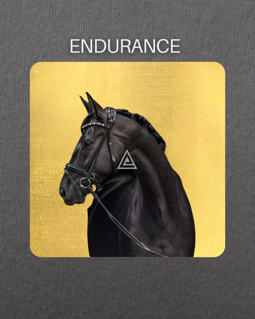 Irish Stallion Coin Pendant