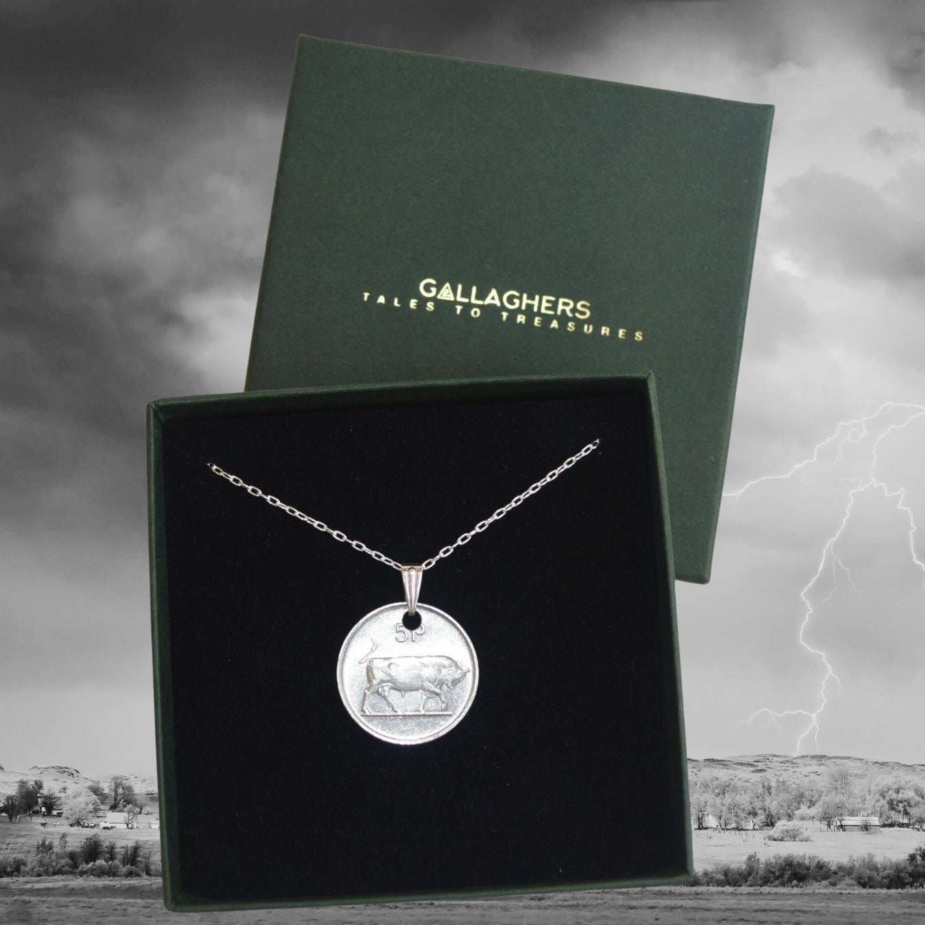 Silver Irish Bull Pendant - Gallaghers GiftsPendant